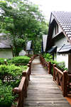 Coral Island Resort 